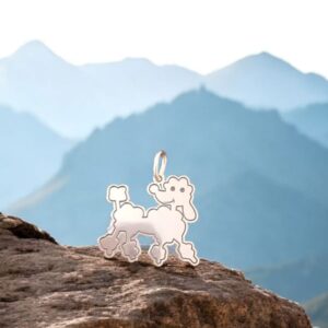 import placeholder for 845