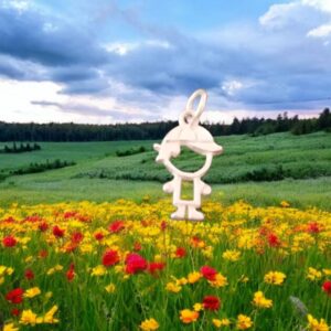 import placeholder for 861