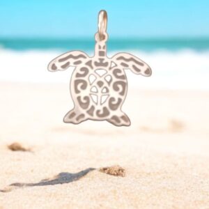 import placeholder for 863